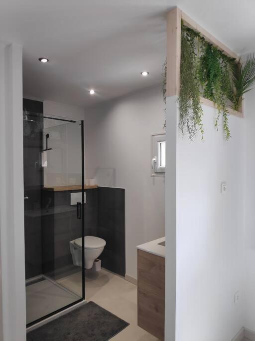 Maison Independante Avec Terrasse & Parking Prive Hérépian Zewnętrze zdjęcie