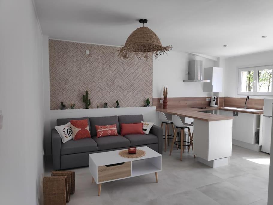 Maison Independante Avec Terrasse & Parking Prive Hérépian Zewnętrze zdjęcie